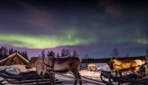 Northern Lights Hunting by Reindeer Sledge